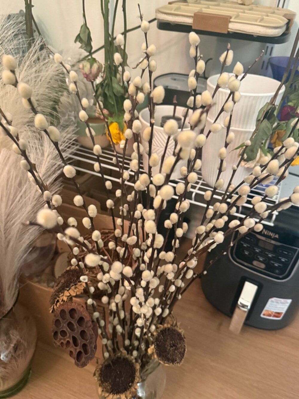 10 stems of rustic natural dried pssy willow brown stalks for crafts vase decor